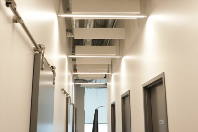 White painted hallway with white acoustic panels hanging from ceiling.