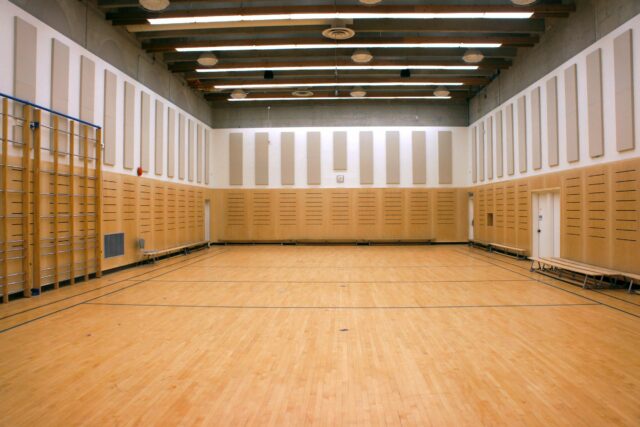 Small basketball gym with grey acoustic column panels installed on walls